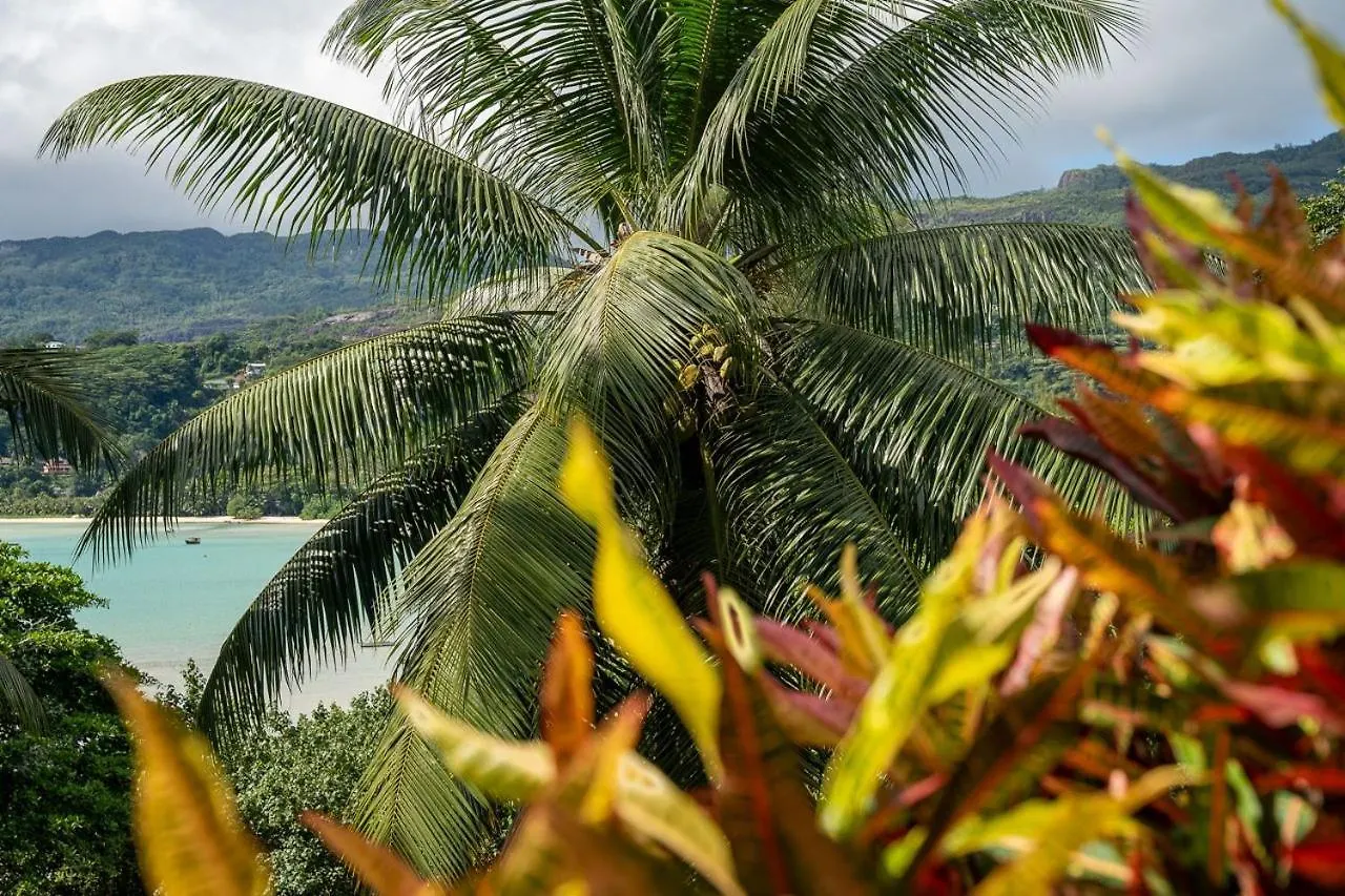 La Residence Baie Lazare  Apartment Baie Lazare (Mahe)