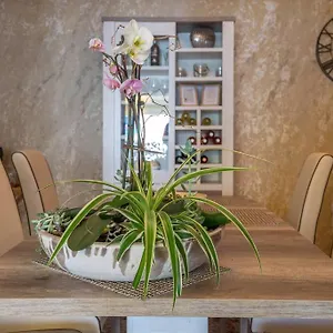 https://beach-luxury-apartment.hotelaalgarve.com